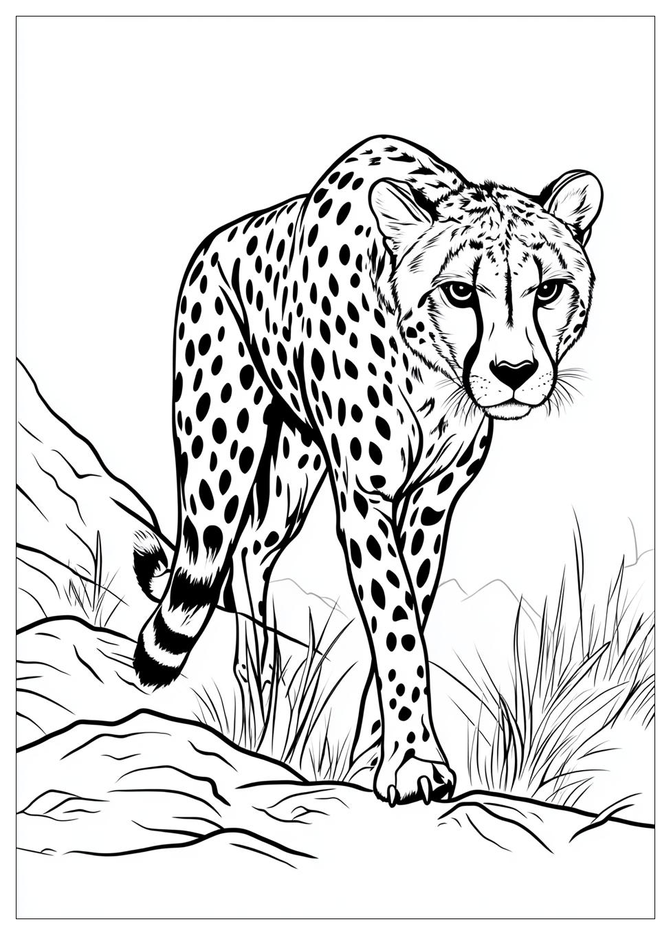 Kolorowanki Do Druku Cheetah 13