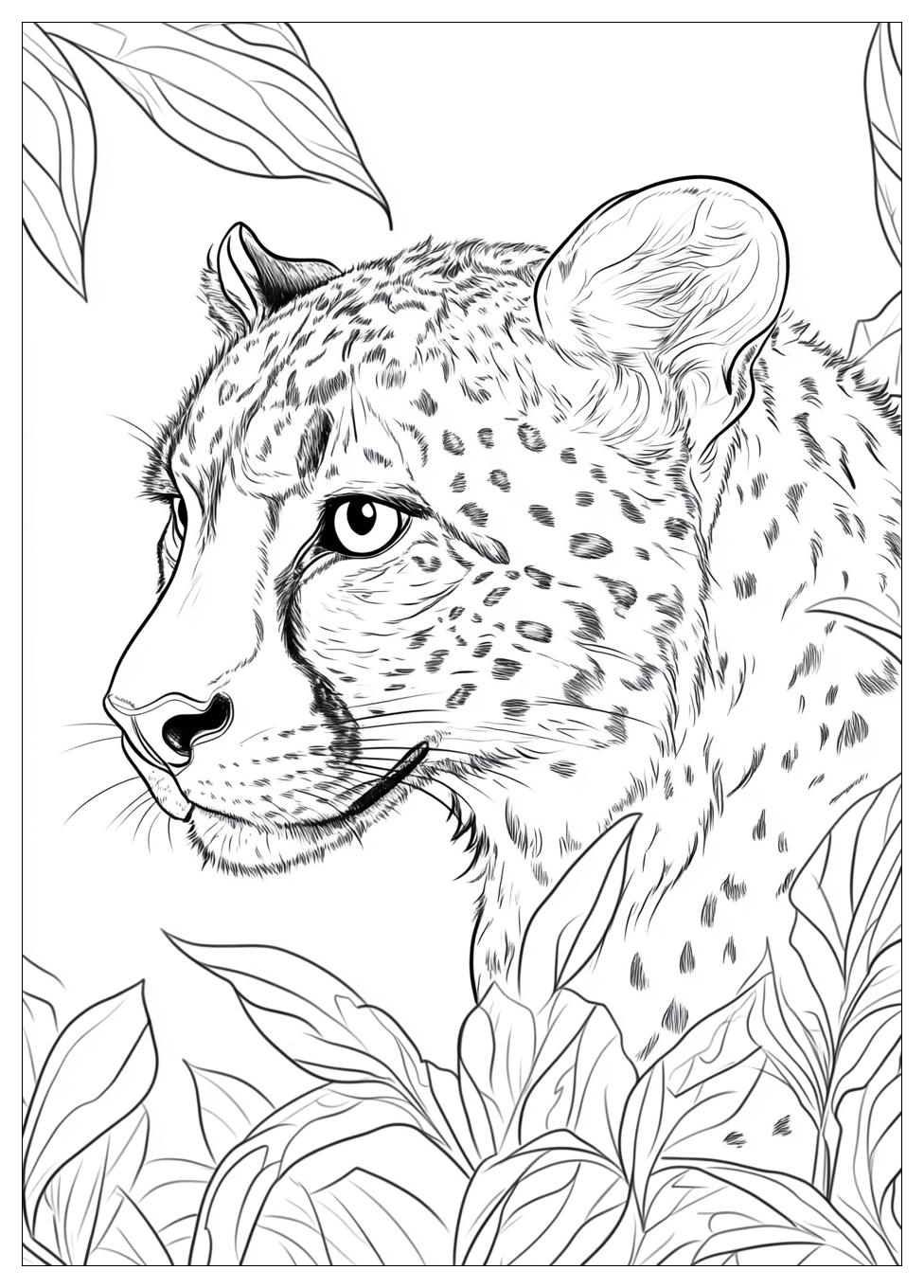 Kolorowanki Do Druku Cheetah 24