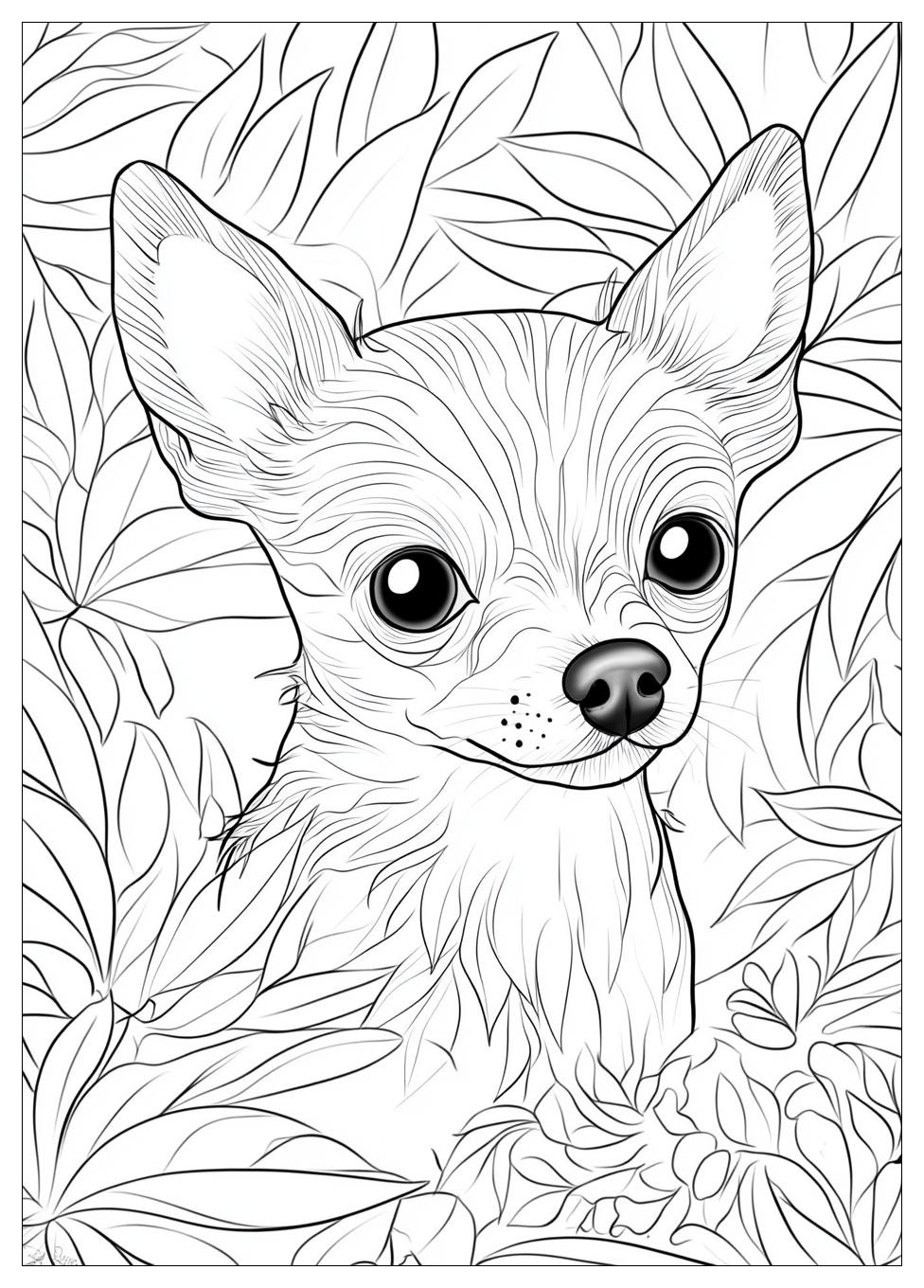 Kolorowanki Do Druku Chihuahua 13