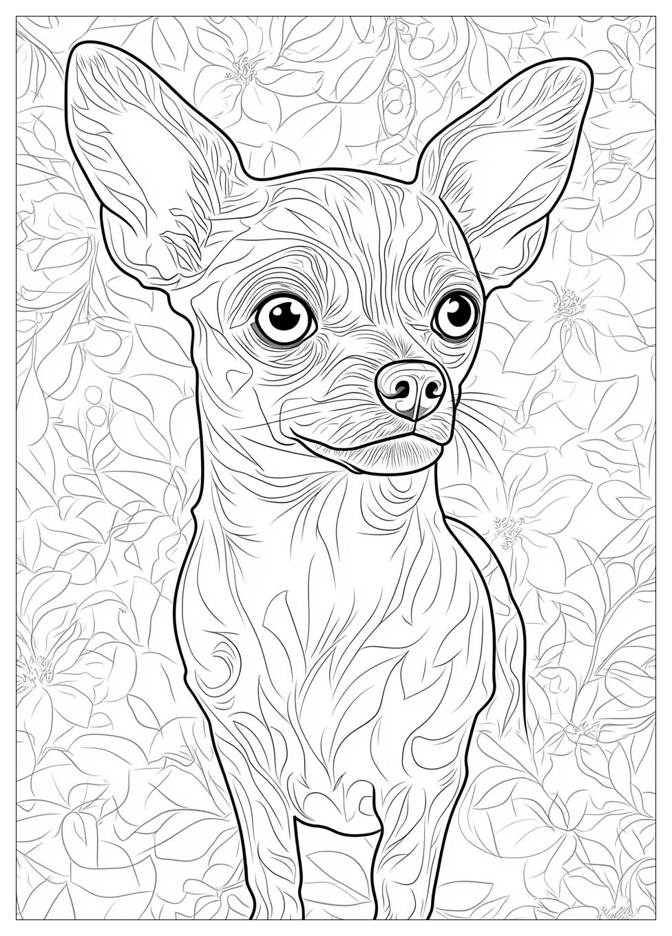 Kolorowanki Do Druku Chihuahua 21