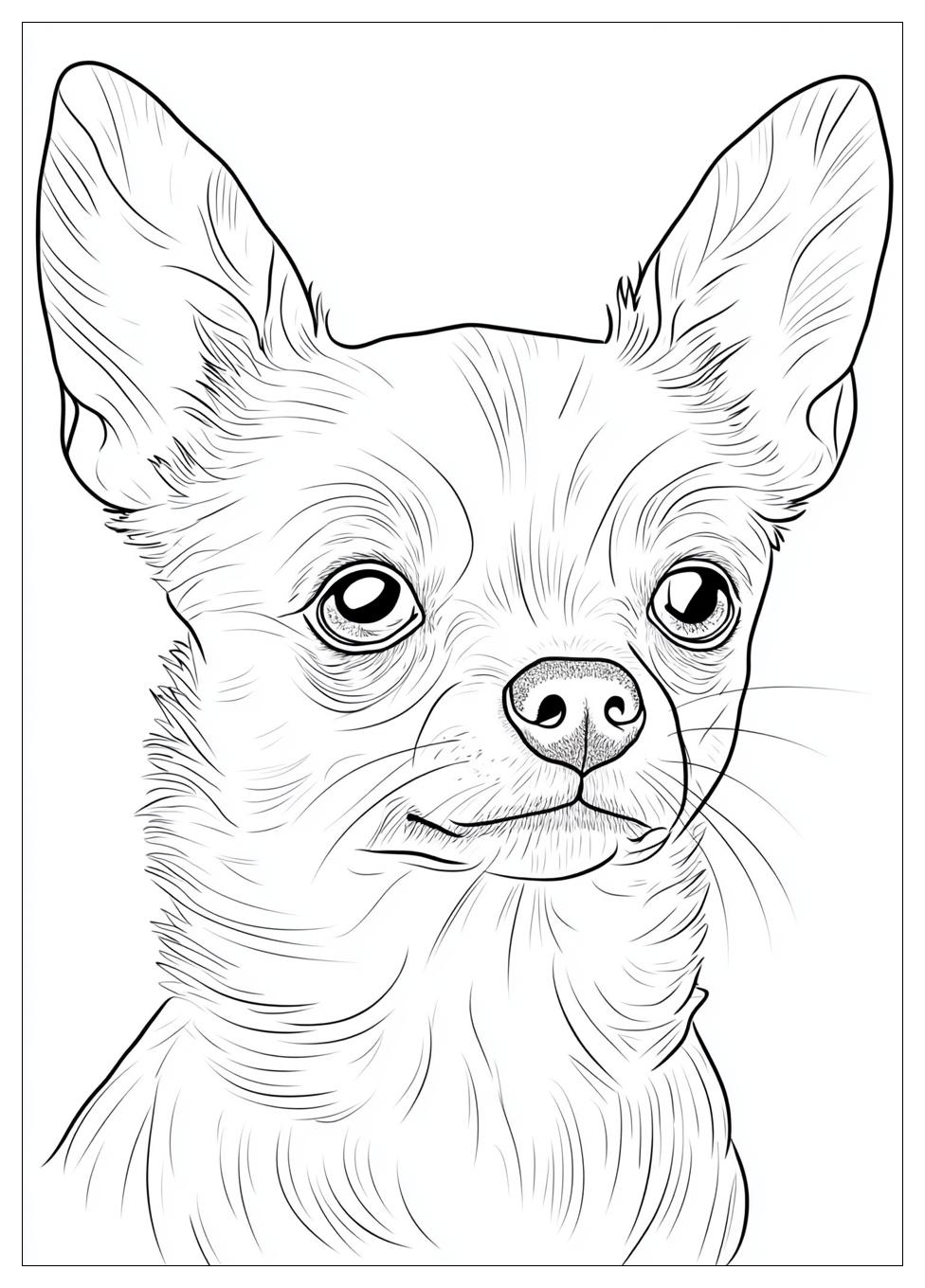 Kolorowanki Do Druku Chihuahua 24