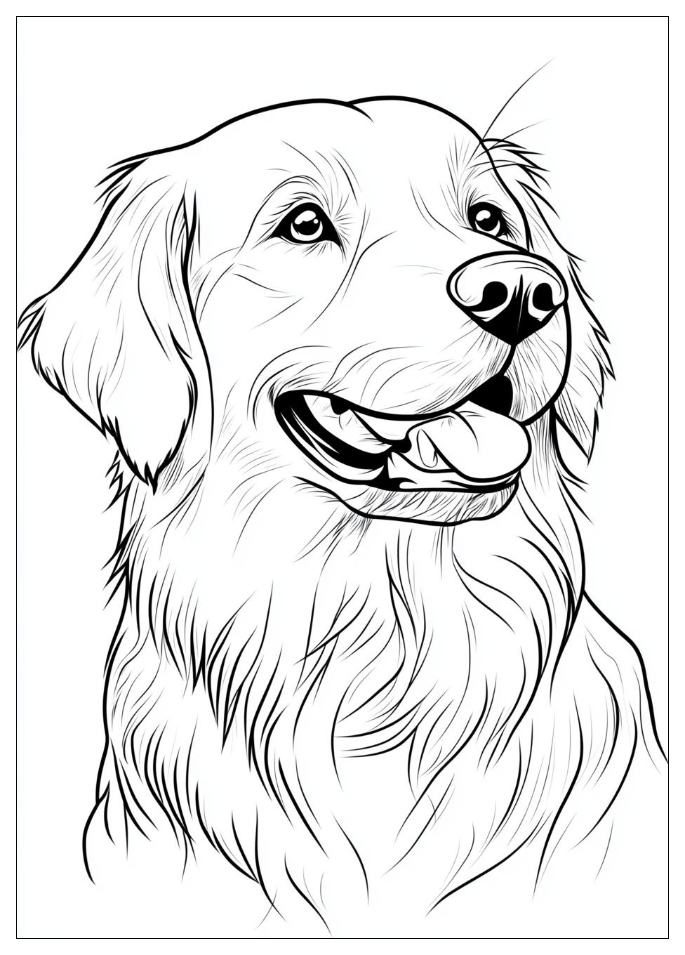 Kolorowanki Do Druku Golden Retriever 1