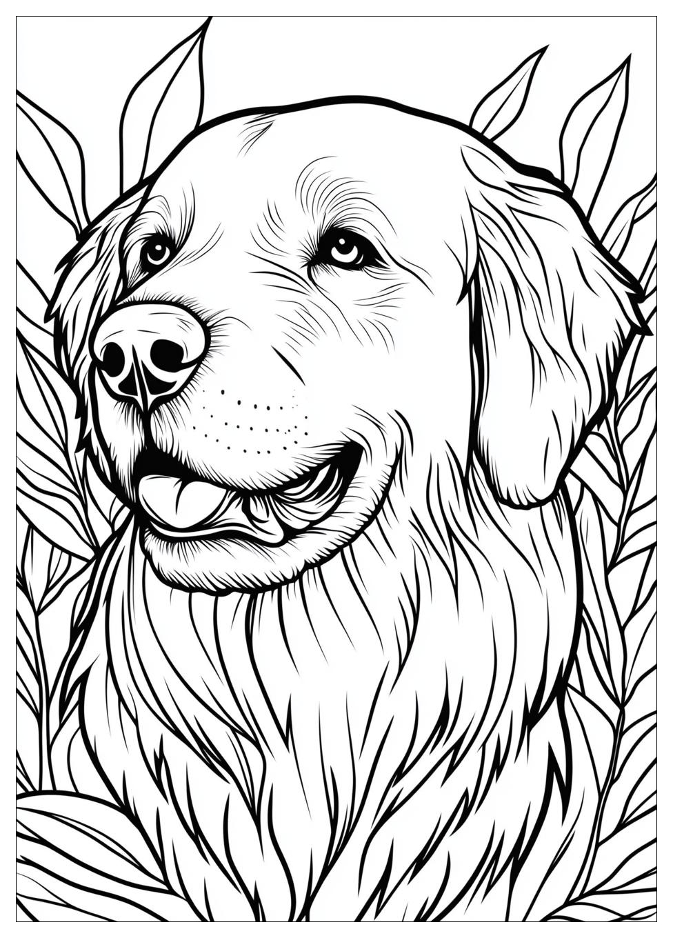 Kolorowanki Do Druku Golden Retriever 12