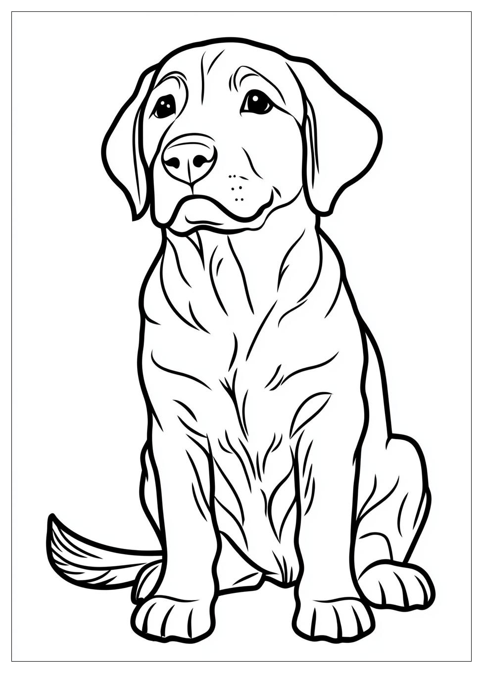 Kolorowanki Do Druku Golden Retriever 13