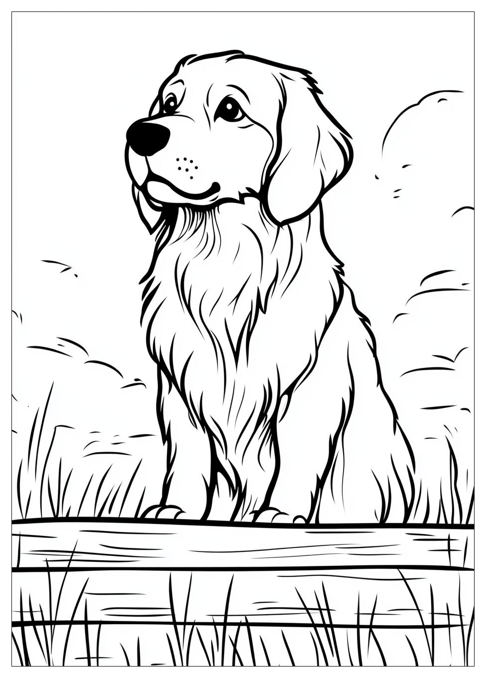 Kolorowanki Do Druku Golden Retriever 17