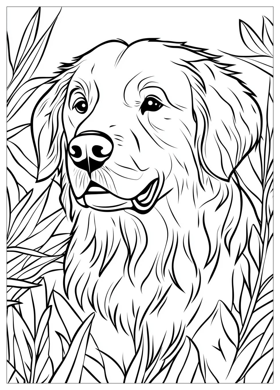 Kolorowanki Do Druku Golden Retriever 2