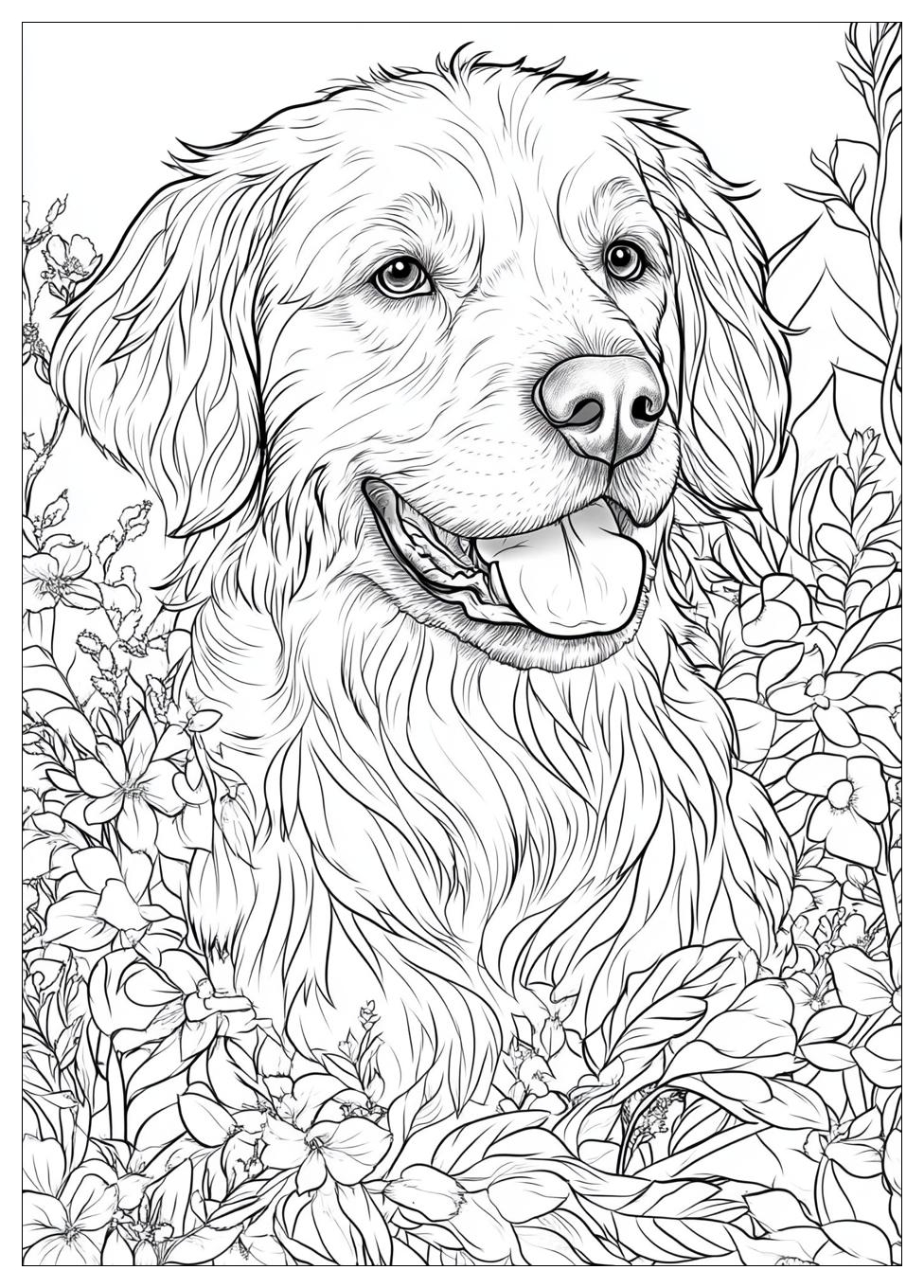 Kolorowanki Do Druku Golden Retriever 21