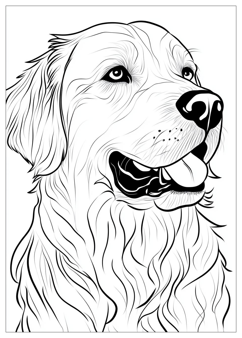Kolorowanki Do Druku Golden Retriever 22