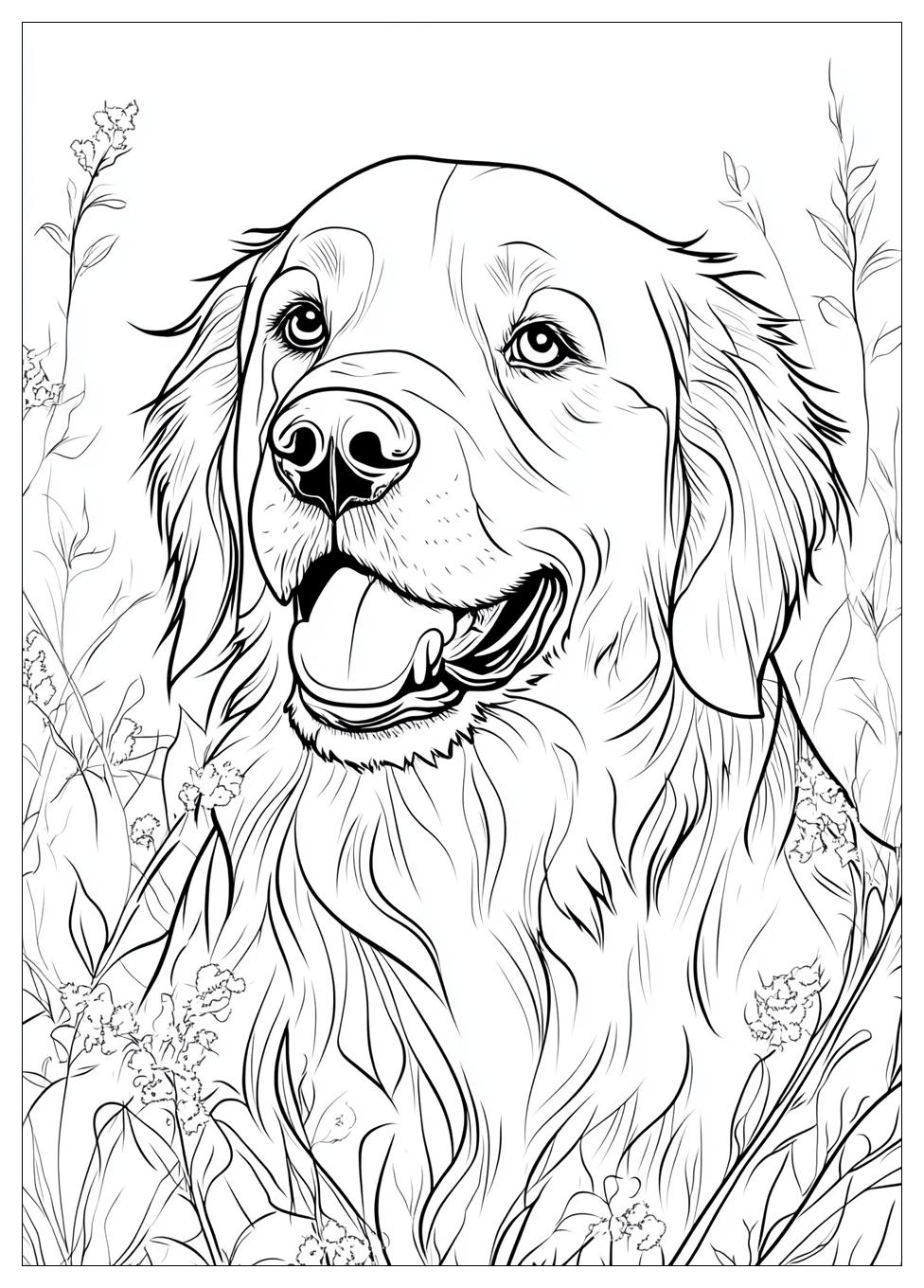 Kolorowanki Do Druku Golden Retriever 23