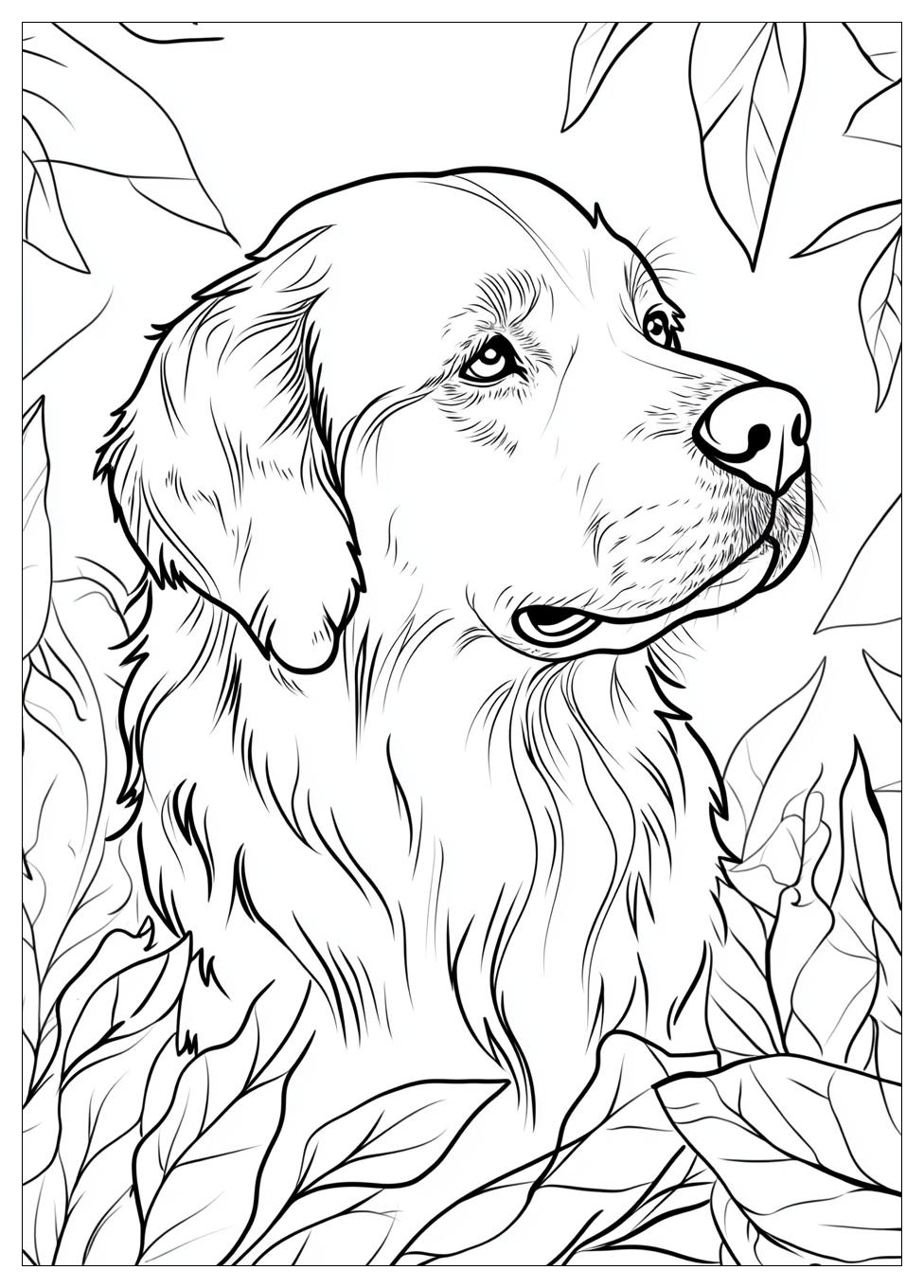 Kolorowanki Do Druku Golden Retriever 5