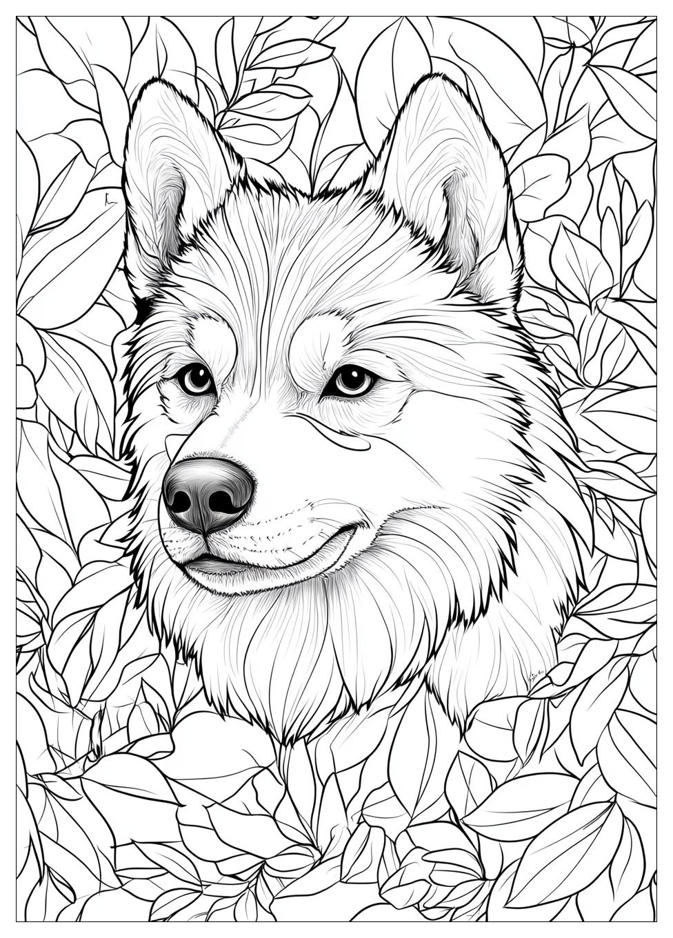 Kolorowanki Do Druku Husky 22