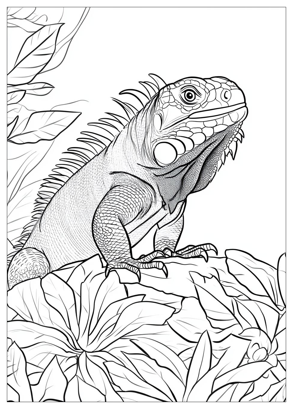Kolorowanki Do Druku Iguana 1