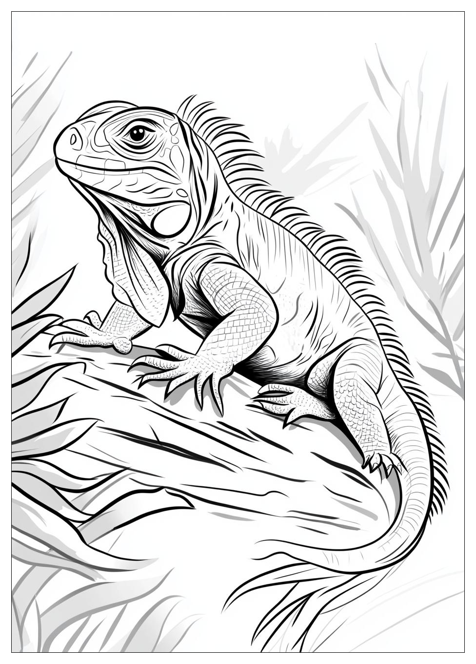 Kolorowanki Do Druku Iguana 10