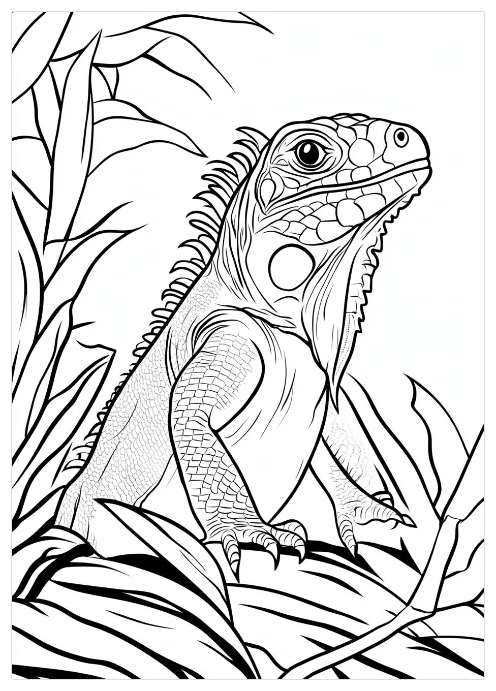 Kolorowanki Do Druku Iguana 11