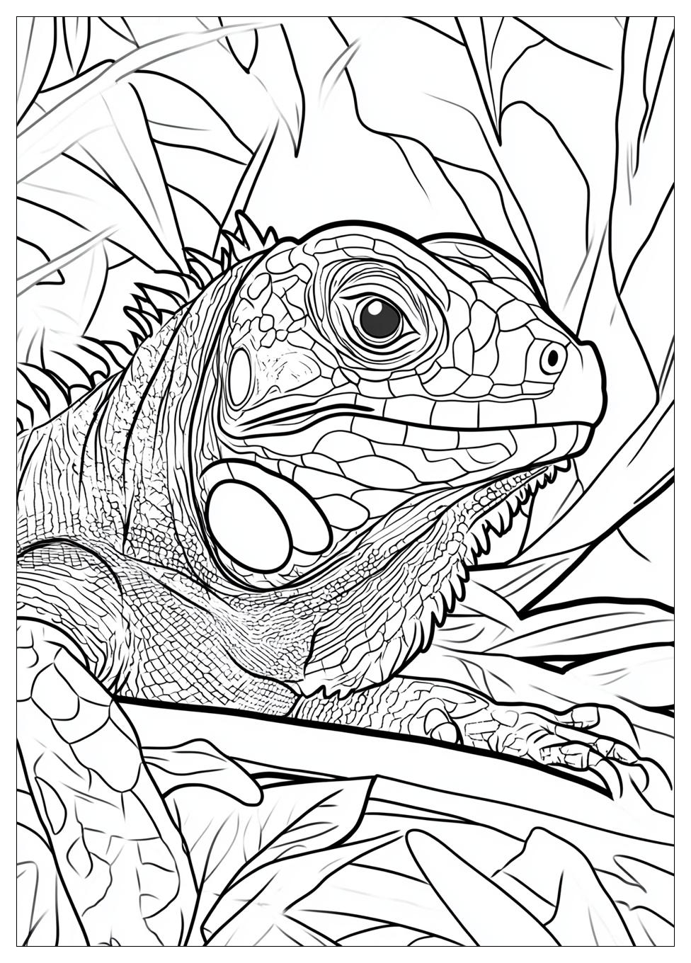 Kolorowanki Do Druku Iguana 12
