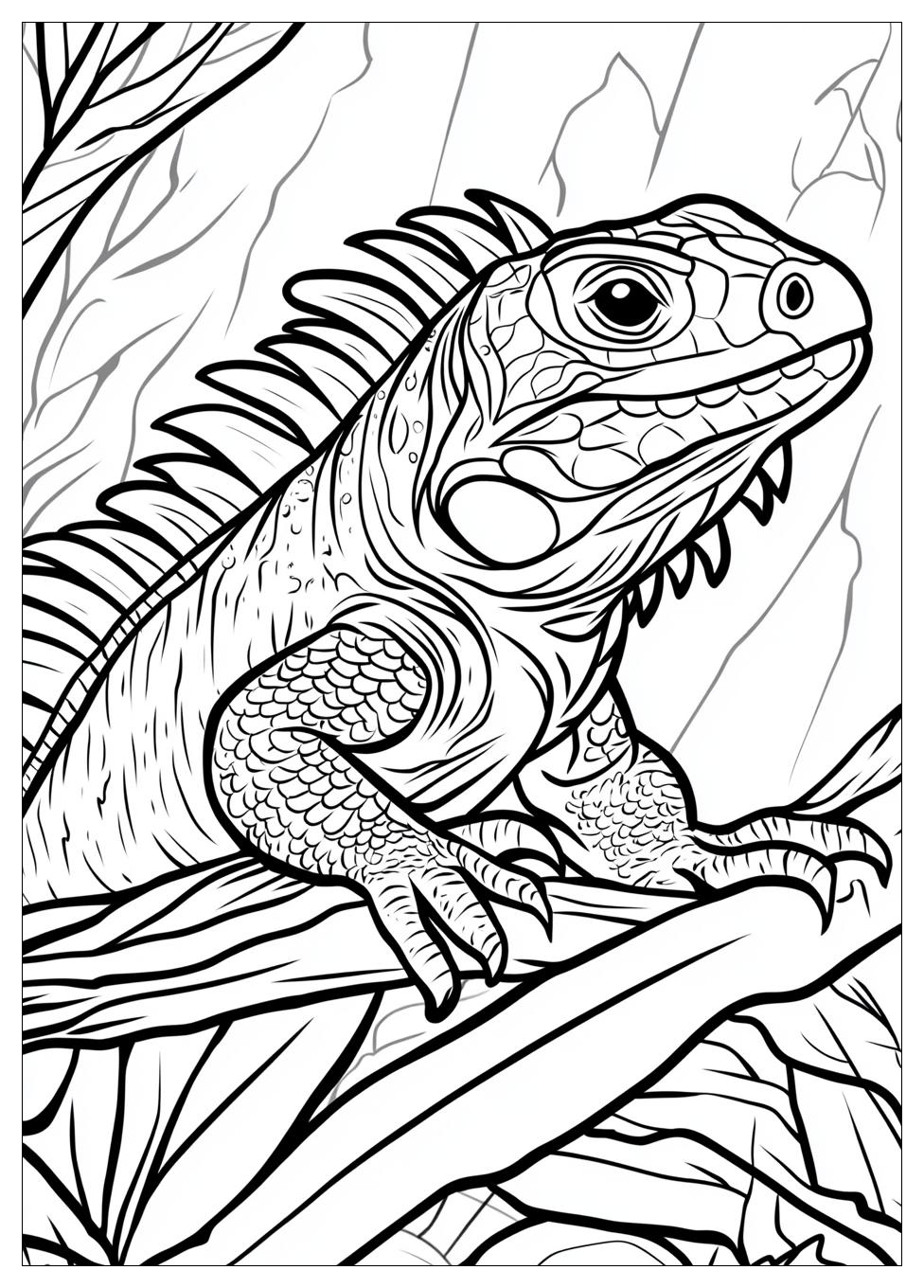 Kolorowanki Do Druku Iguana 13