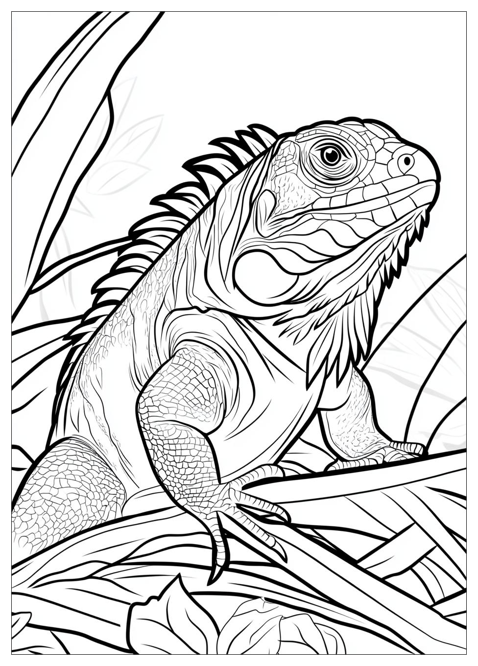 Kolorowanki Do Druku Iguana 16
