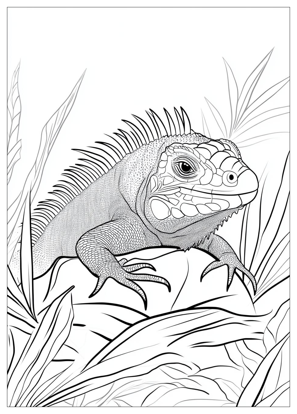 Kolorowanki Do Druku Iguana 17