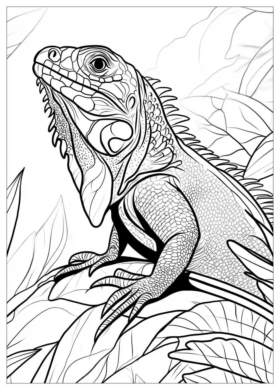 Kolorowanki Do Druku Iguana 18
