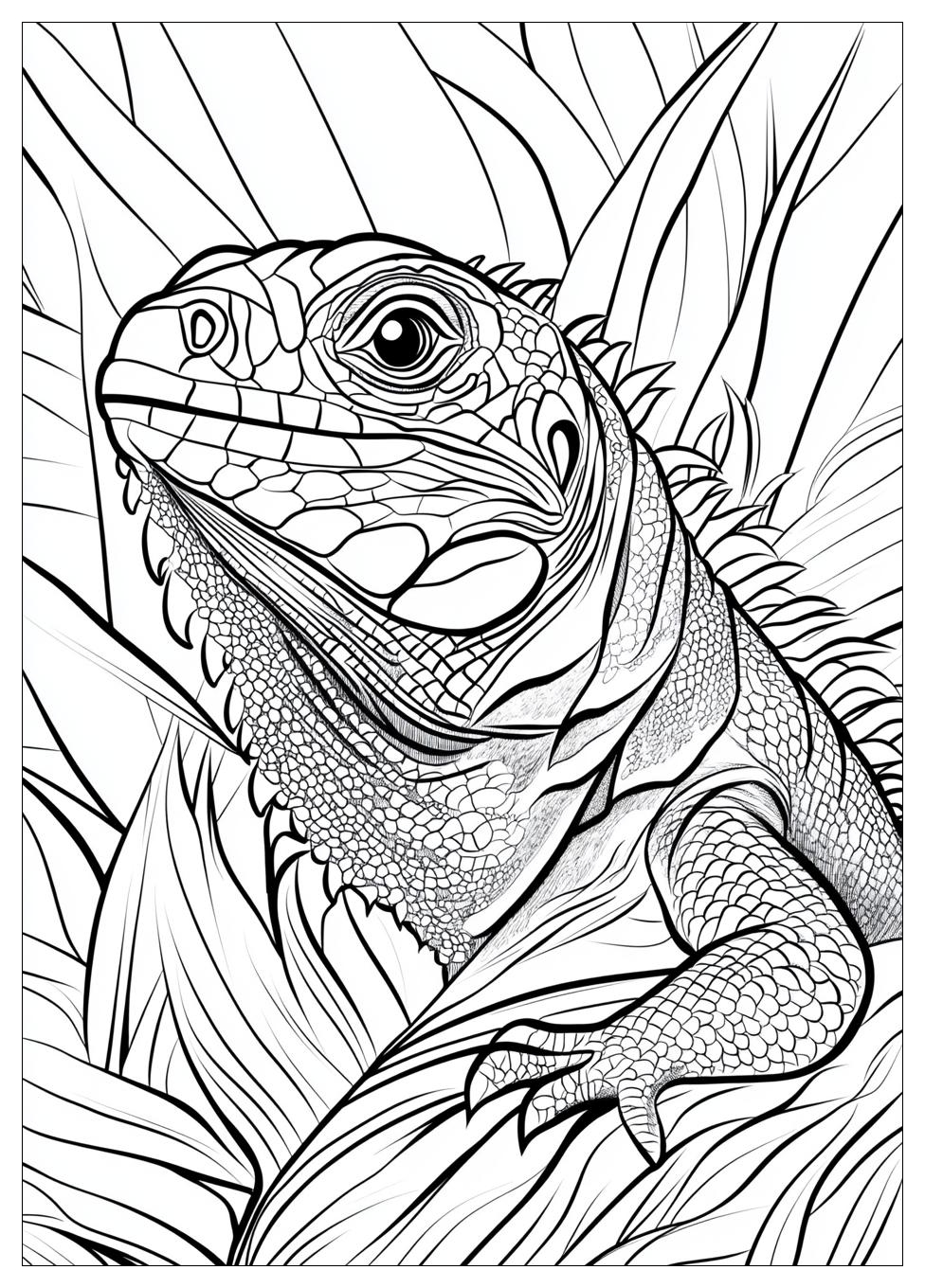 Kolorowanki Do Druku Iguana 19