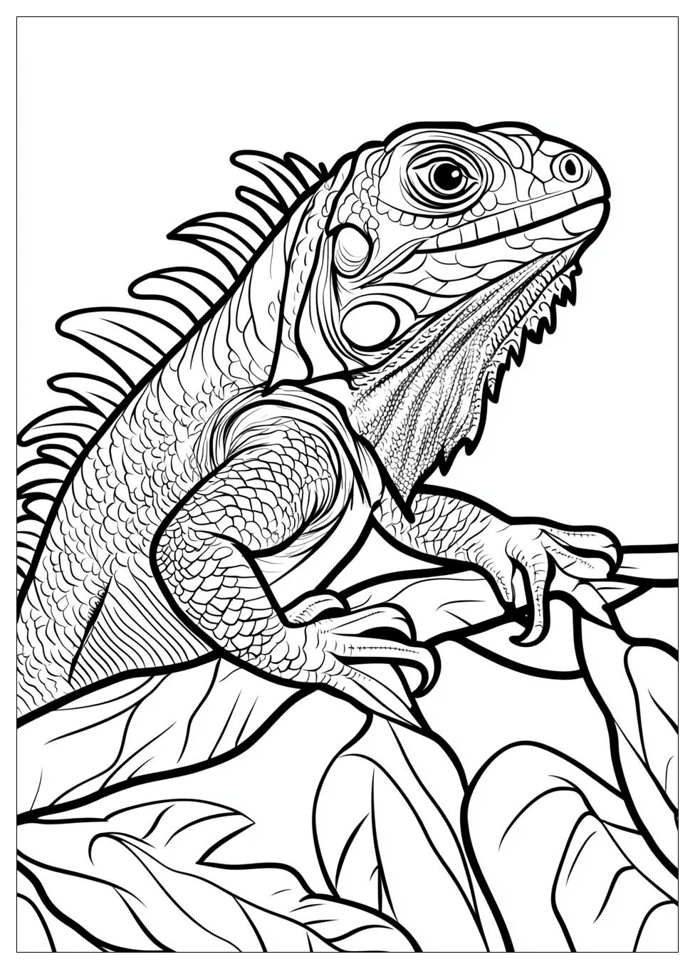 Kolorowanki Do Druku Iguana 2