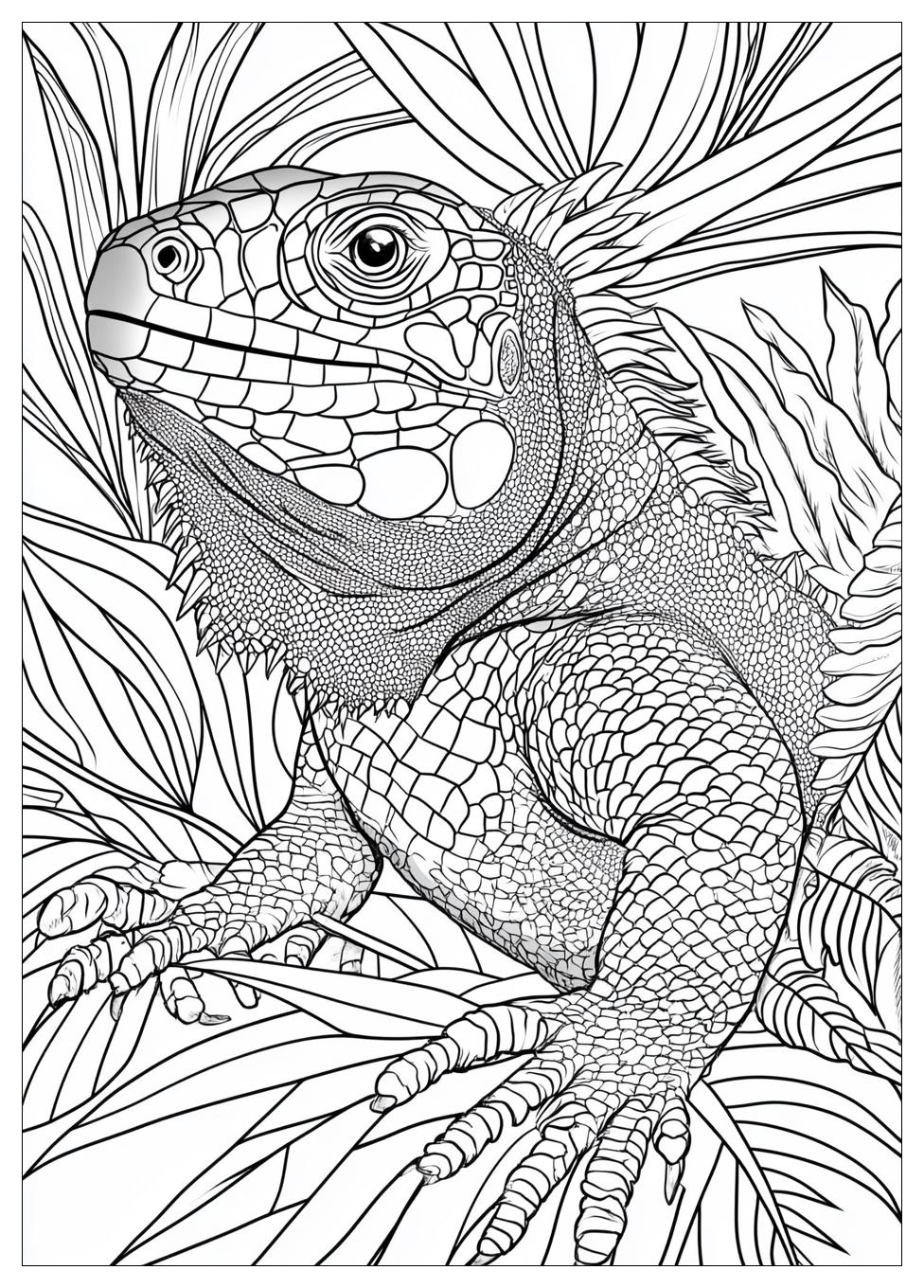 Kolorowanki Do Druku Iguana 22