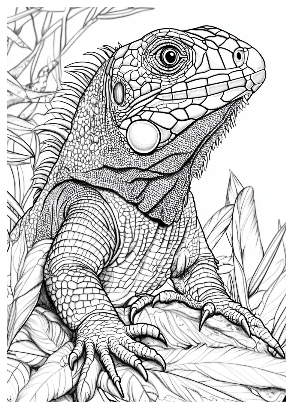 Kolorowanki Do Druku Iguana 23