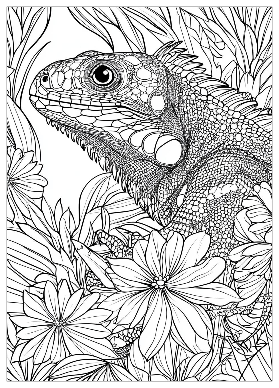 Kolorowanki Do Druku Iguana 24