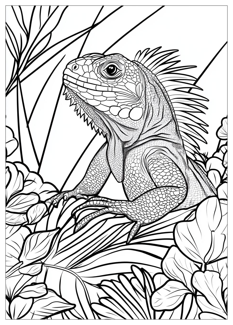Kolorowanki Do Druku Iguana 3