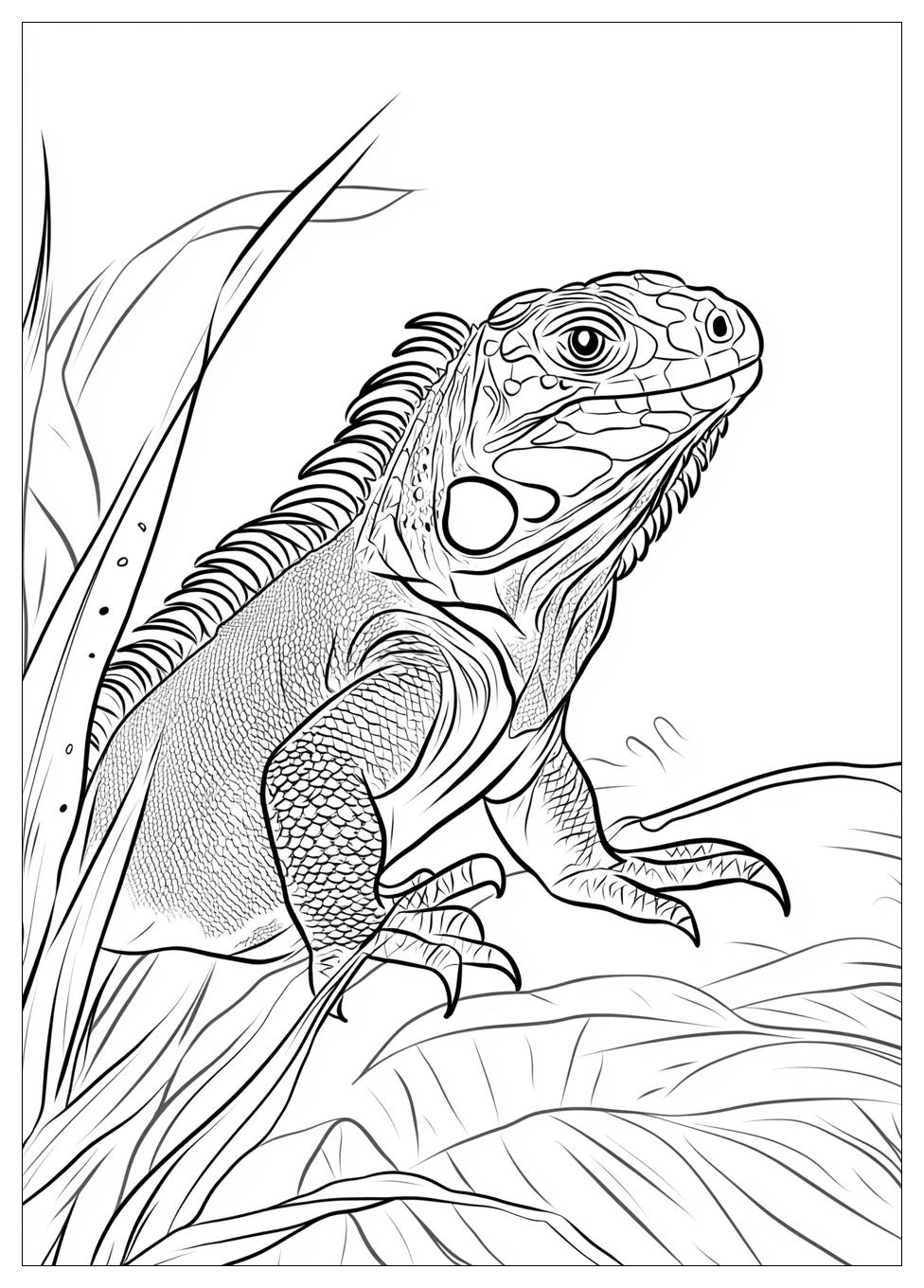 Kolorowanki Do Druku Iguana 4