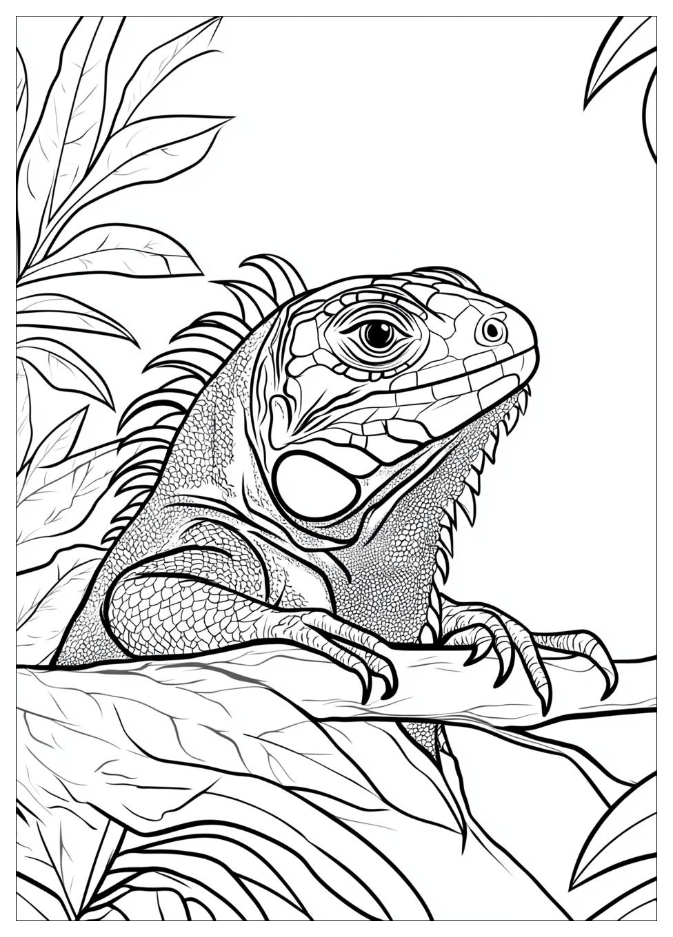 Kolorowanki Do Druku Iguana 7