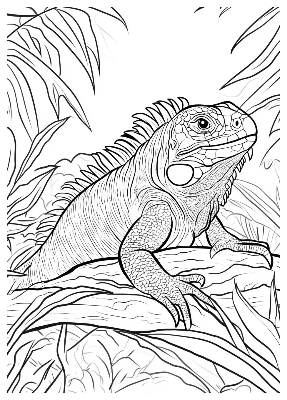 Kolorowanki Do Druku Iguana 8