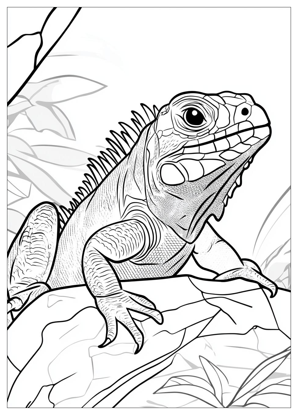 Kolorowanki Do Druku Iguana 9