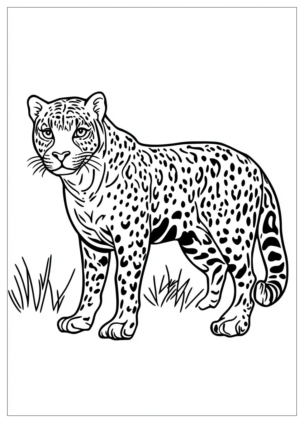 Kolorowanki Do Druku Jaguar 16