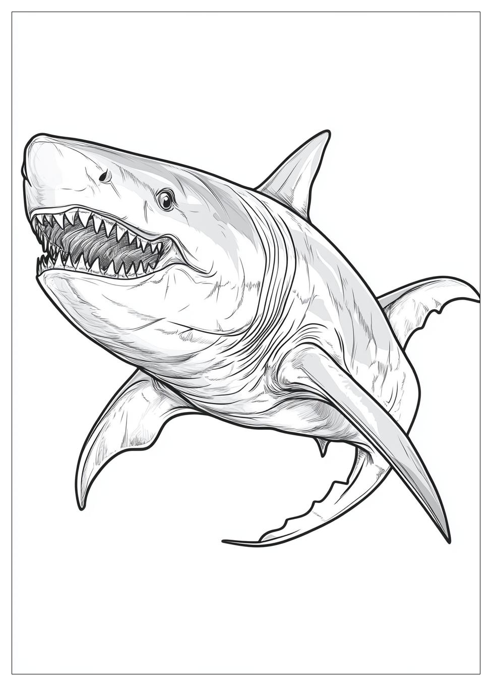 Kolorowanki Do Druku Megalodon 22