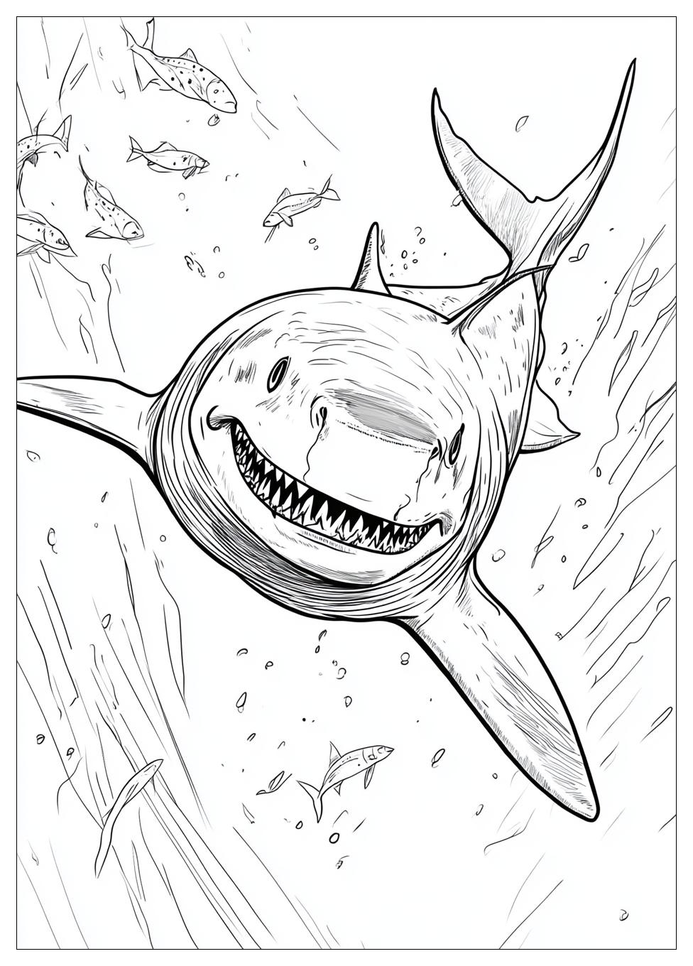 Kolorowanki Do Druku Megalodon 3