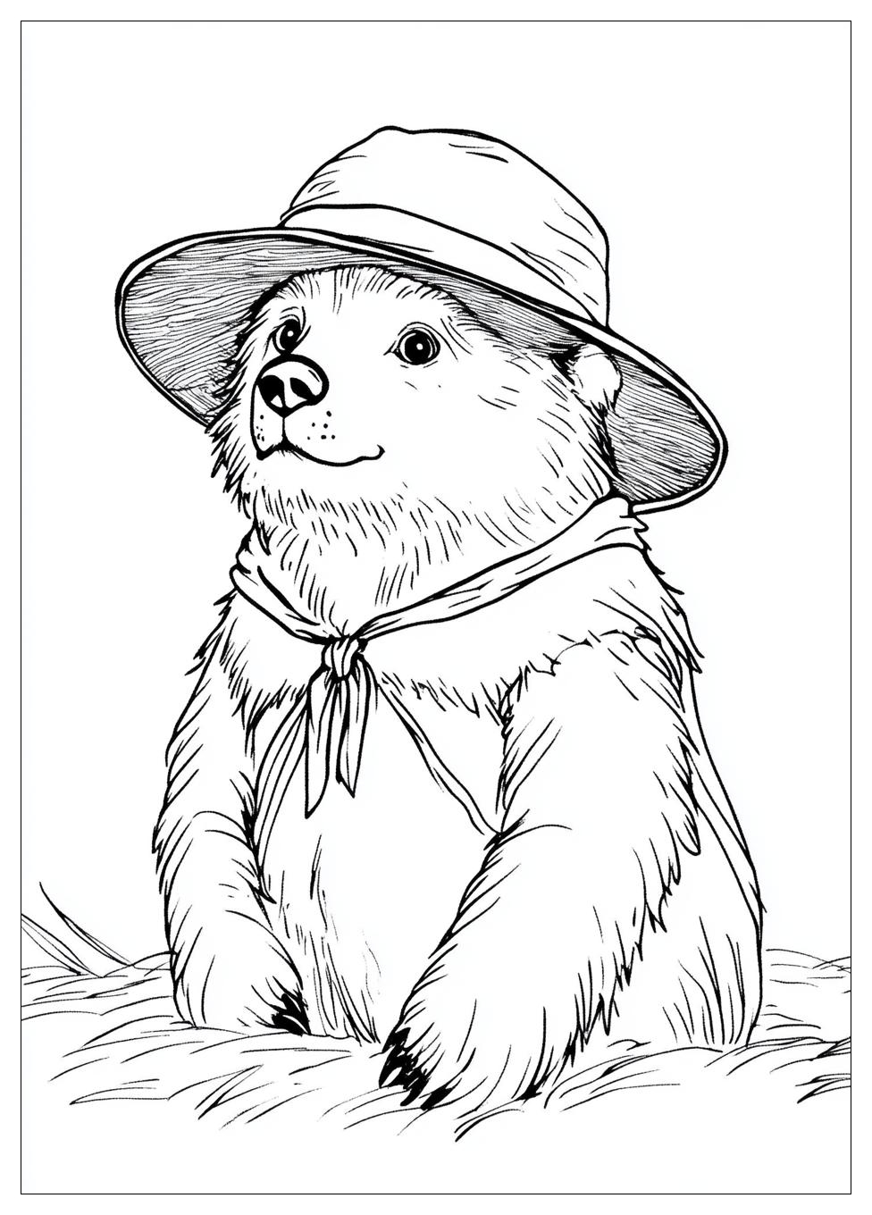 Kolorowanki Do Druku Paddington 20