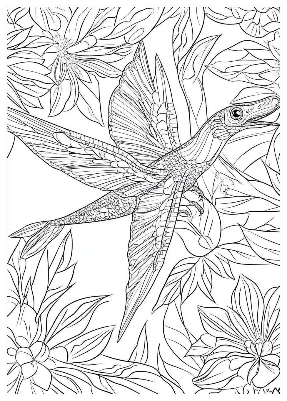 Kolorowanki Do Druku Pterodaktyl 22