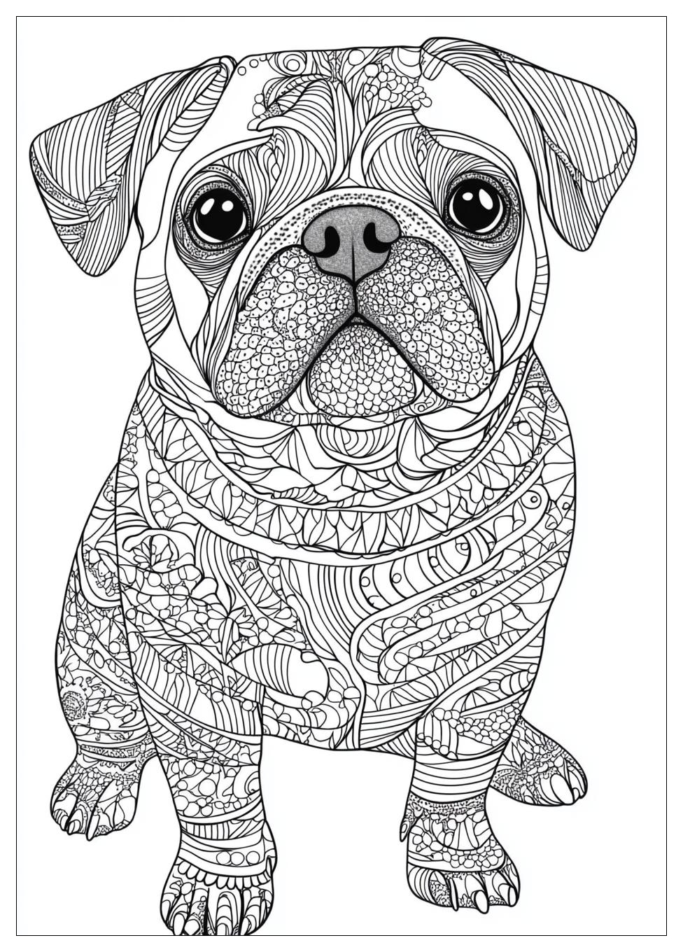 Kolorowanki Do Druku Pug 24