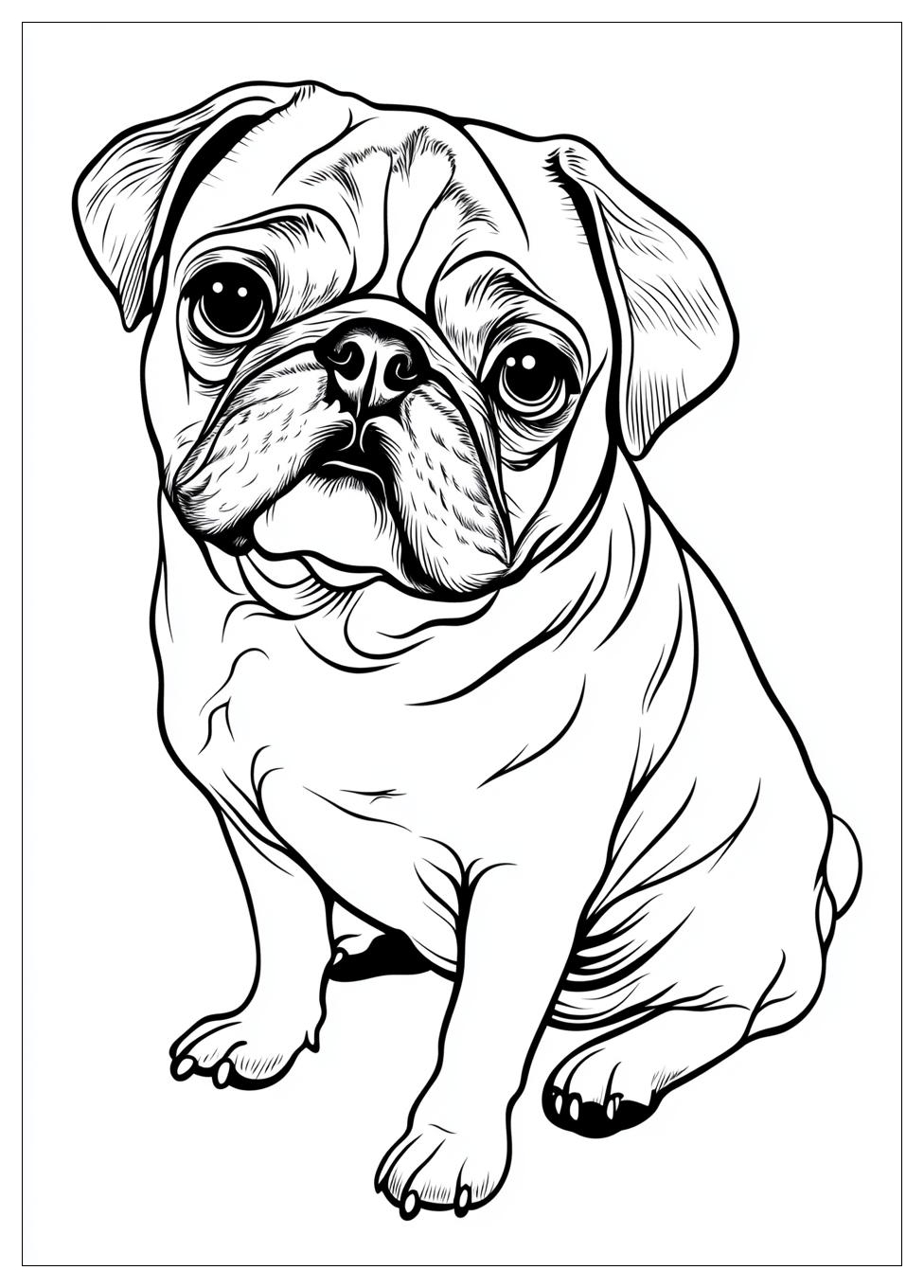 Kolorowanki Do Druku Pug 4