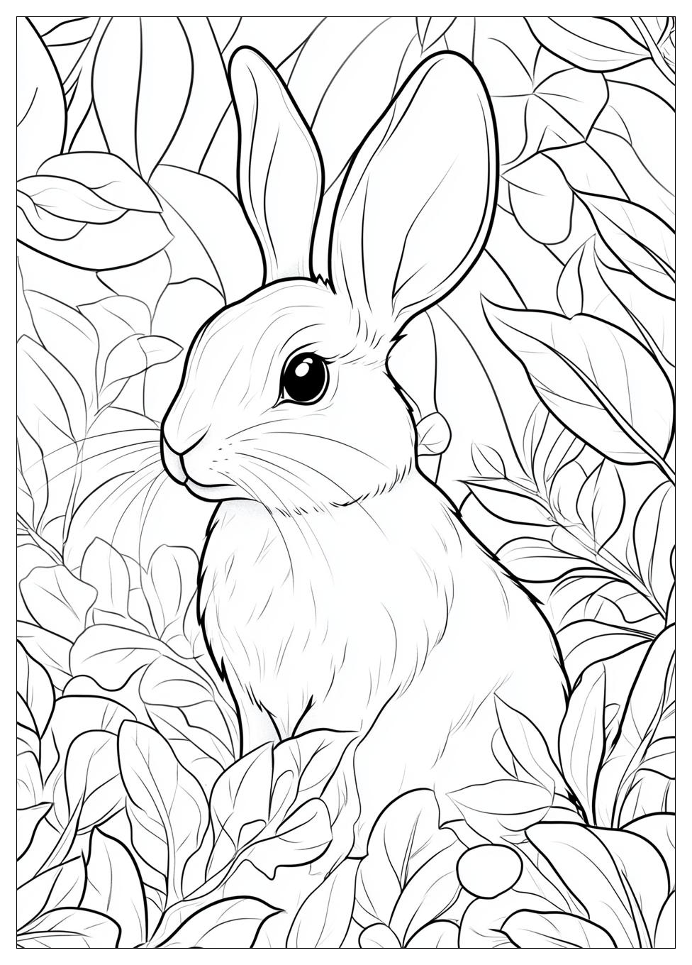 Kolorowanki Do Druku Rabbit 15