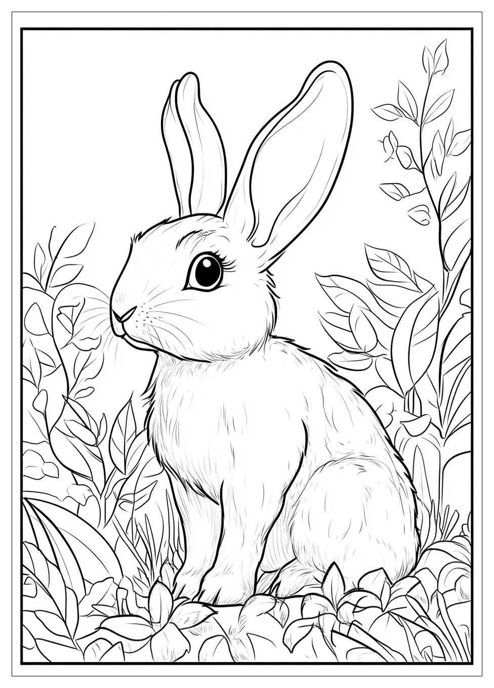 Kolorowanki Do Druku Rabbit 16