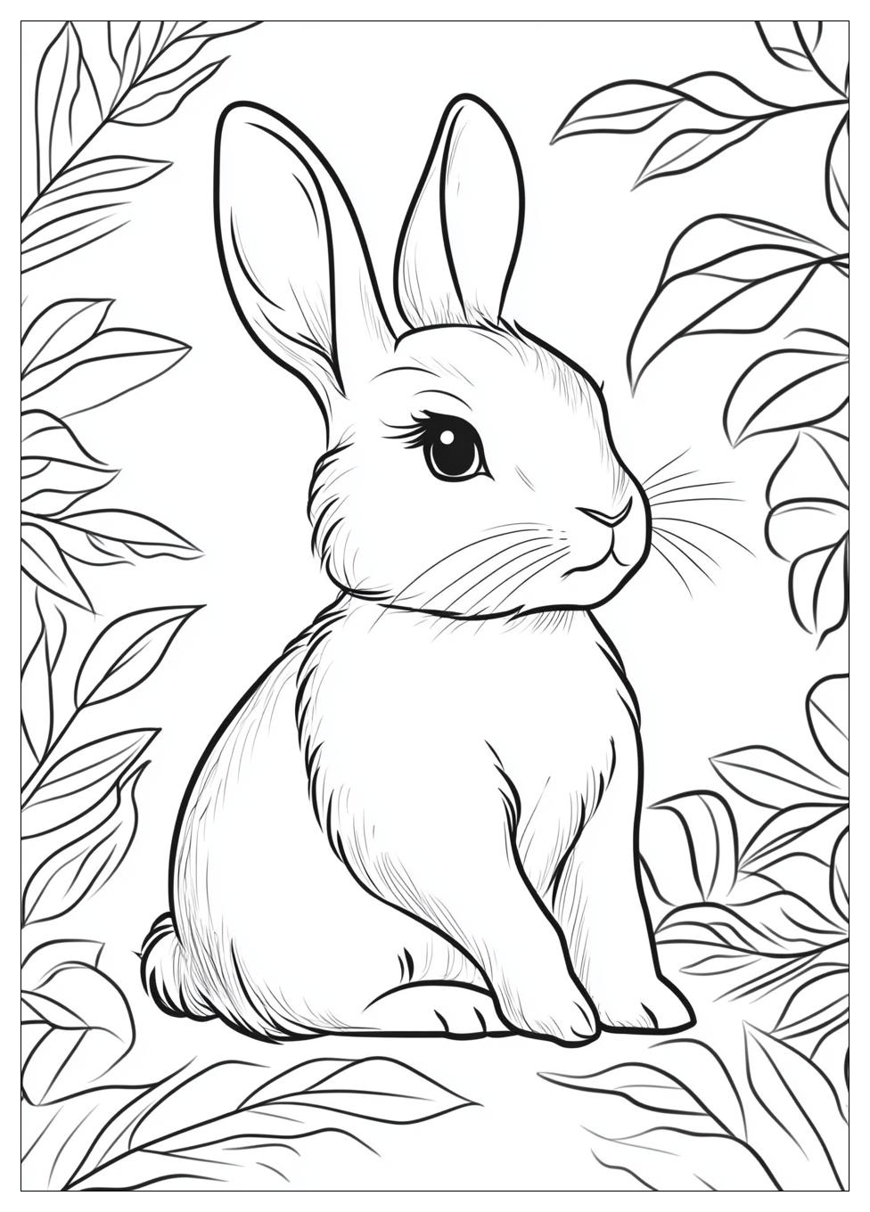 Kolorowanki Do Druku Rabbit 17