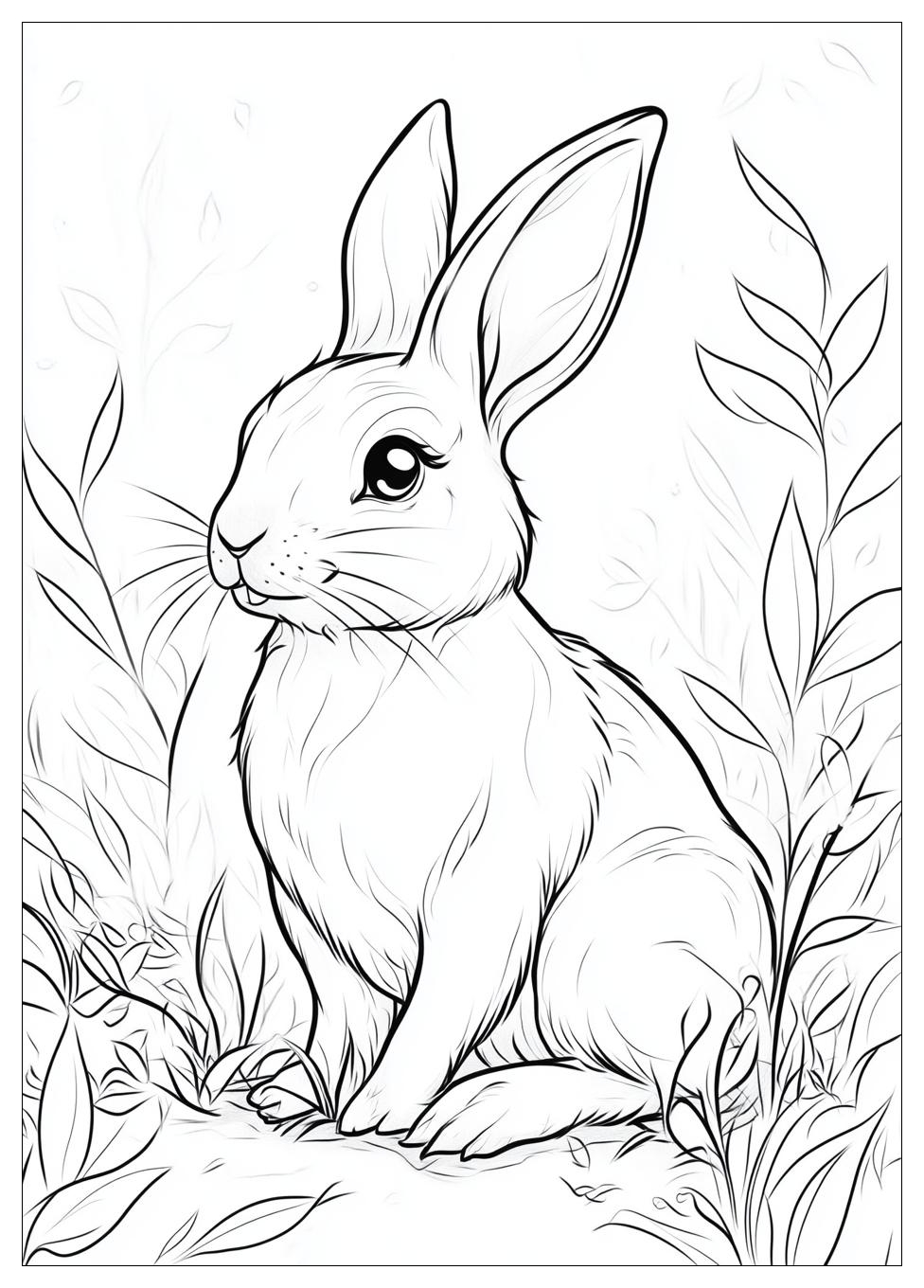 Kolorowanki Do Druku Rabbit 19