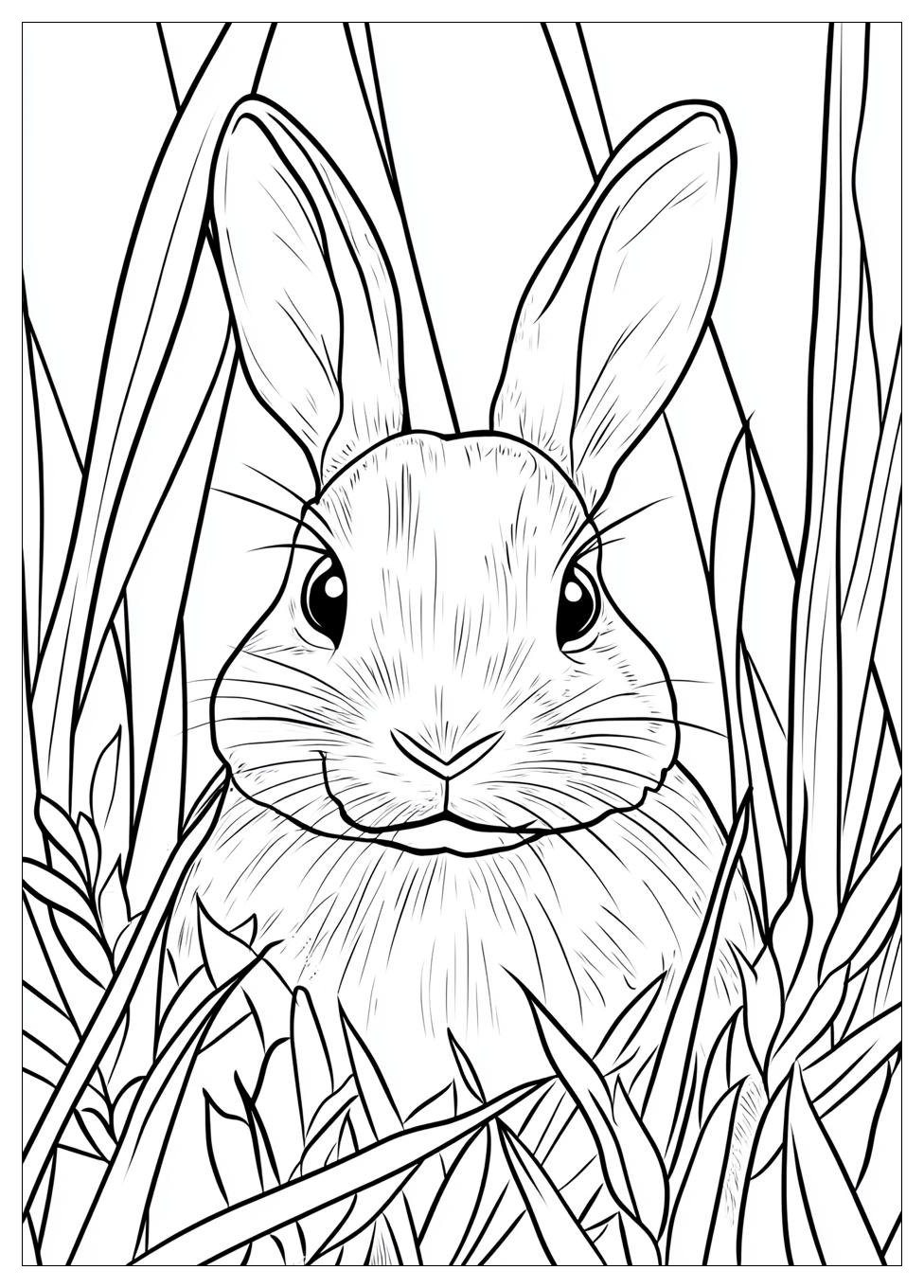 Kolorowanki Do Druku Rabbit 9